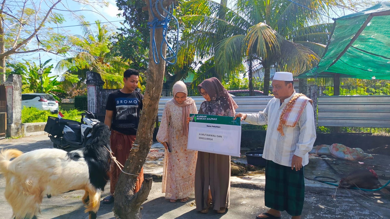 BAZNAS Loteng Distribusikan 10 Ekor Sapi Dan 10 Ekor Kambing Kepada Masyarakat
